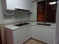 Parc Vista (D22), Condominium #475136651